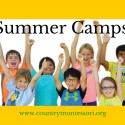 Summer Camp